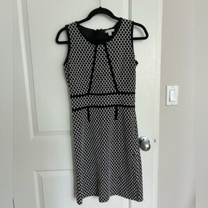Medium New York & Company Stretch Work Dress